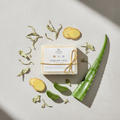 Seraph Veil soap bar with white tea and ginger ingredients